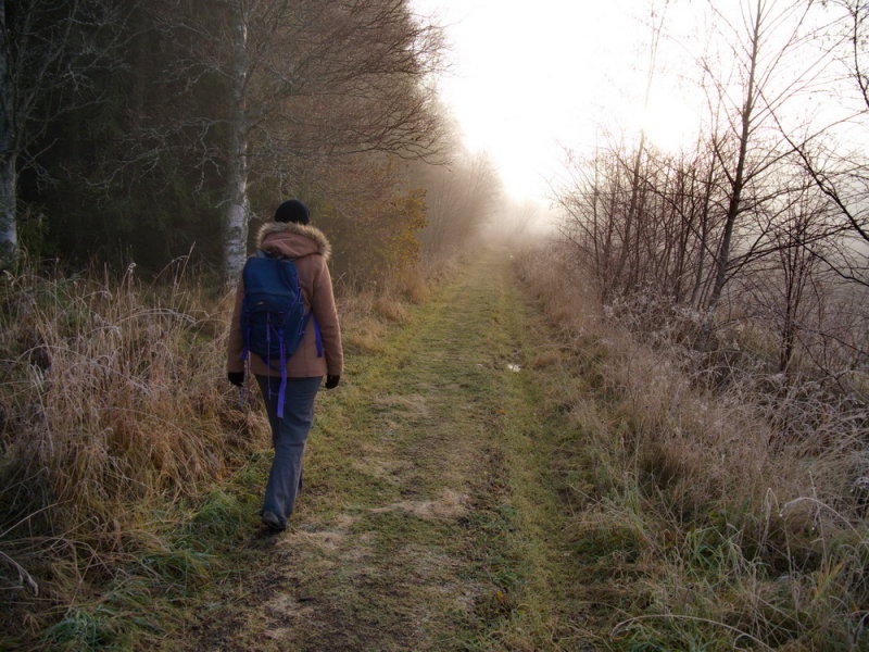 November nature walk