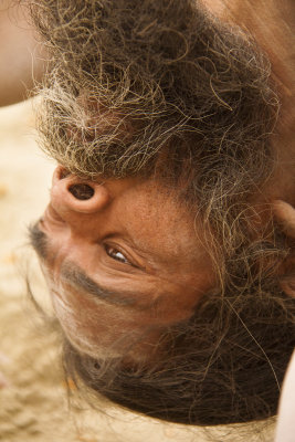 Naga Sadhu 12.jpg