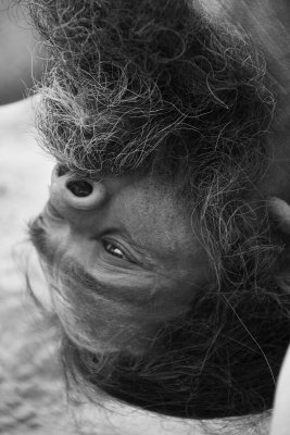 Naga Sadhu 12 bw.jpg