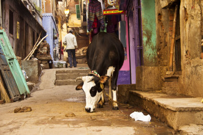 Typical alley in Varanasi.jpg