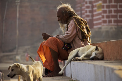 Sadhu with dogs.jpg