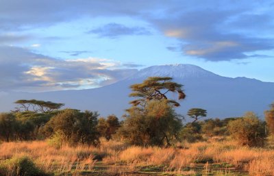 The Snows of Kilimanjaro 