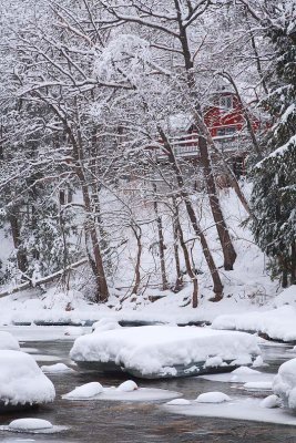 Red House in the woods