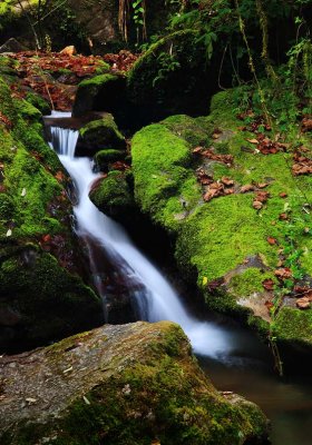 141119_waterfall_rocks_4507m.jpg