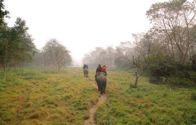 141201_elephantride_6211m.jpg