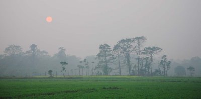 141201_Chitwan_jungle_sunset_6349m.jpg