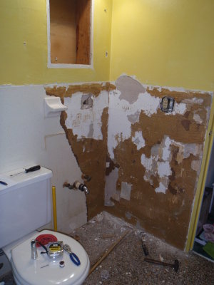 Mid bathroom remodel