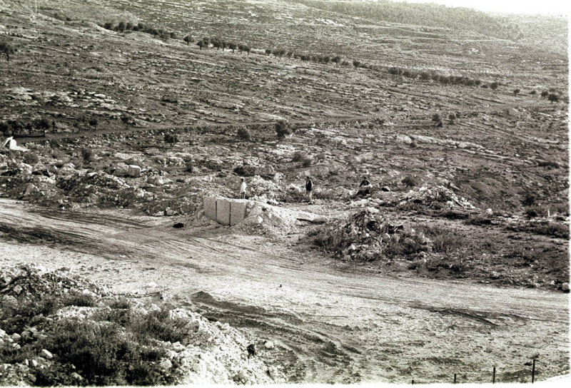 Bypassing the Bethlehem Checkpoint,          PN XI  20 copy.jpg