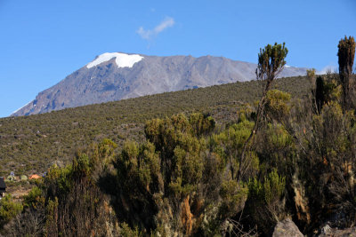 Last glimpse on Kilimanjaro...