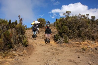 Porters going down from Kilimanjaro