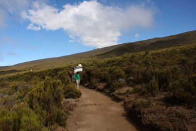 At the route from the Horombo camp