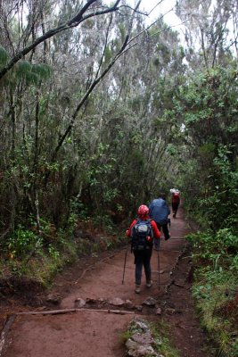 On the way to Marangu gate