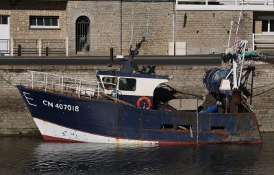 IMG_8146.jpg