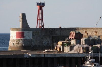 IMG_8177.jpg