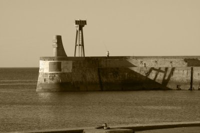 IMG_8186sp.jpg