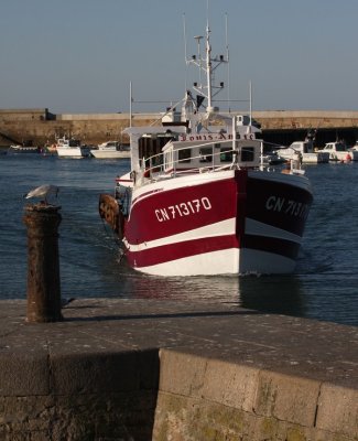 IMG_8220.jpg