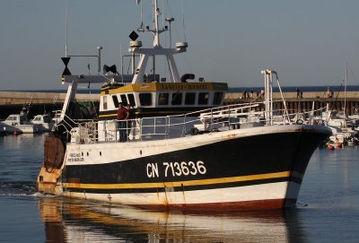 IMG_8226.jpg
