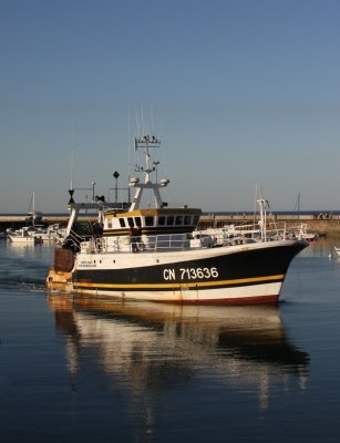 IMG_8229.jpg