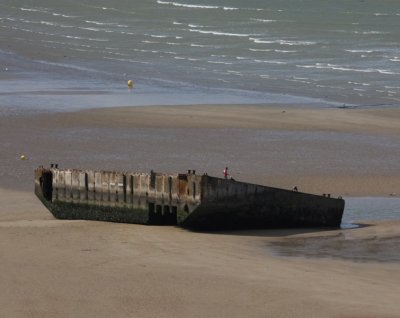 IMG_8242.jpg