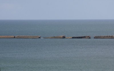 IMG_8244.jpg