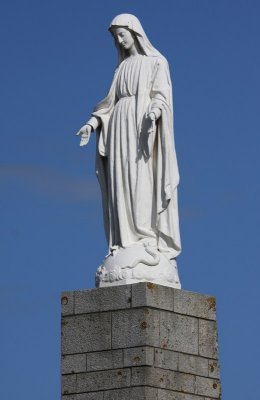 IMG_8248.jpg
