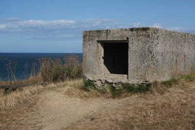 IMG_8257.jpg
