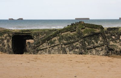 IMG_8295.jpg