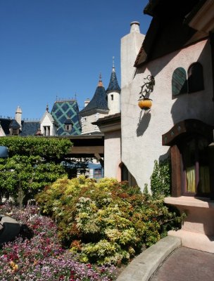 IMG_8565_DxO.jpg