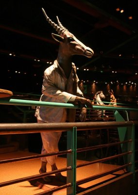 IMG_8585_DxO.jpg