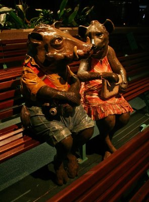 IMG_8588_DxO.jpg