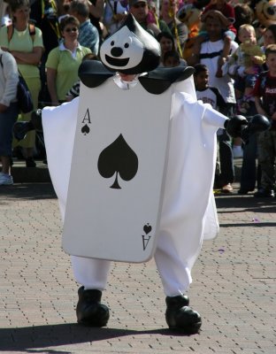 IMG_8589_DxO.jpg