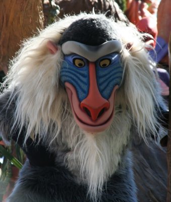 IMG_8642_DxO.jpg