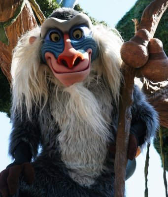 IMG_8645_DxO.jpg