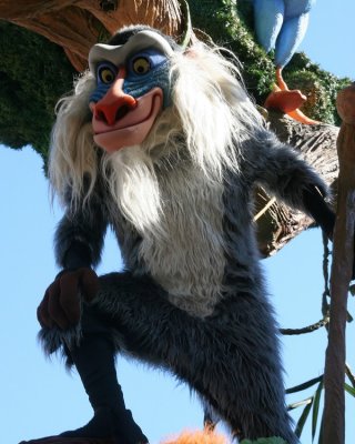 IMG_8646_DxO.jpg