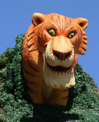 IMG_8651_DxO.jpg
