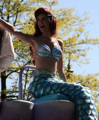 IMG_8657_DxO.jpg