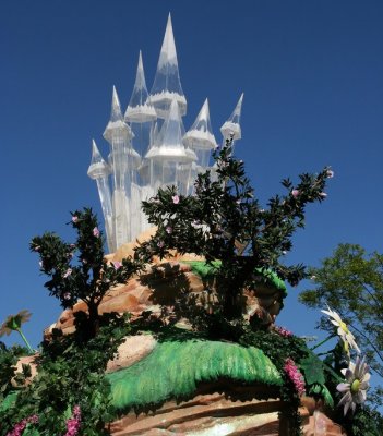 IMG_8670_DxO.jpg