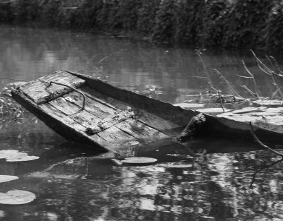 _MG_4337.jpg
