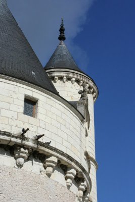 IMG_3832_DxO.jpg
