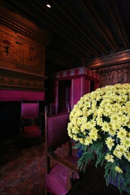 IMG_4123_DxO.jpg