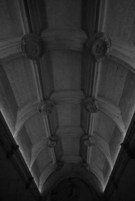 IMG_4149_DxO.jpg