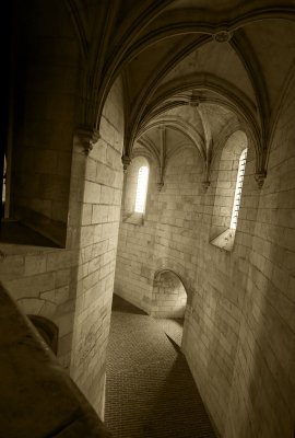 IMG_3873_DxO.jpg