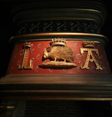 IMG_5360.jpg