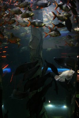 IMG_0017.jpg