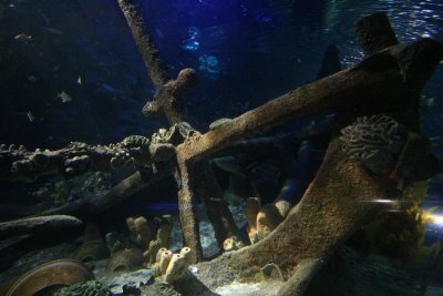 IMG_0072.jpg