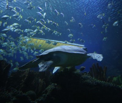 IMG_0083.jpg