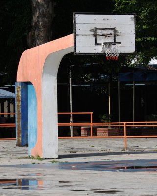 IMG_8445.jpg