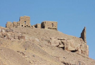 IMG_2565.jpg