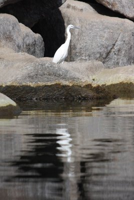 IMG_2728.jpg