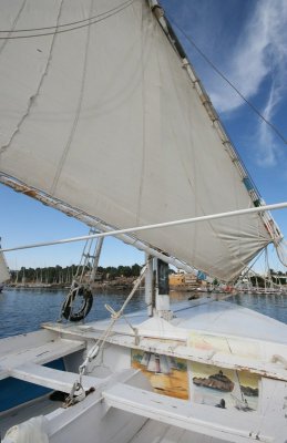IMG_3008.jpg